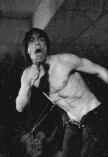 Iggy Pop